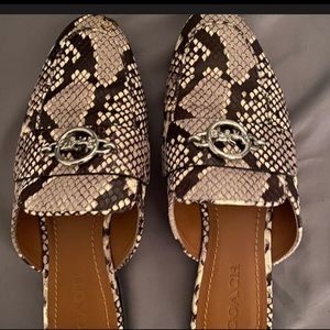 Coach Snakeskin Mules